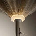 Illuminated_V1_.webp