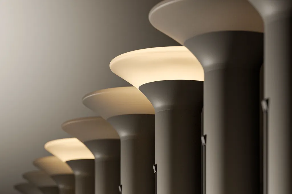Light by Night_V1_.webp